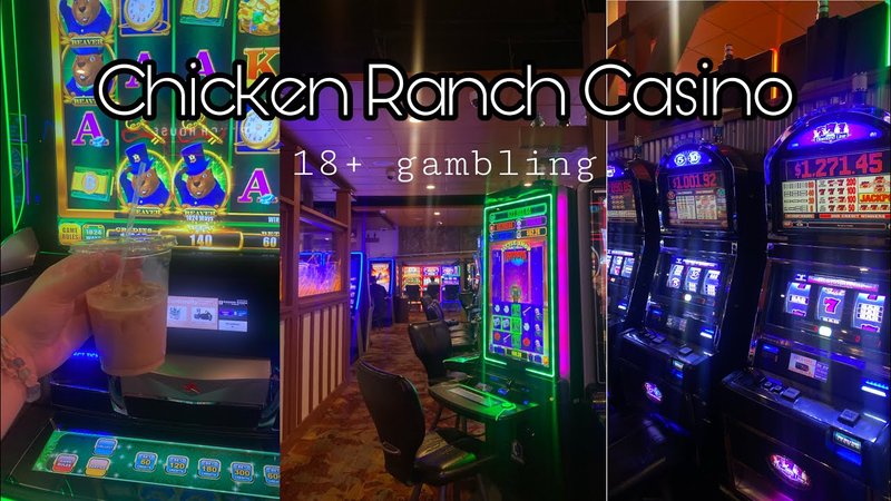 Spain - chicken road casino